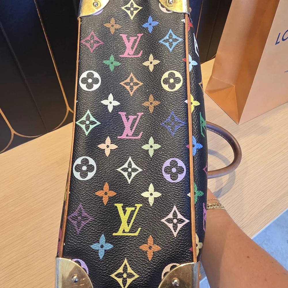 Louis Vuitton Multicolor Monogram Handbag